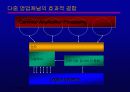 인터넷금융의 확산과 대응전략 53페이지