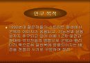 밀리터리룩 3페이지