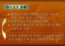 밀리터리룩 23페이지
