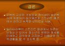 밀리터리룩 26페이지