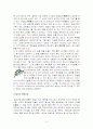 세시풍속 '칠석'의 문화콘텐츠화 5페이지