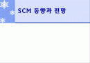 SCM 동향과 전망 1페이지