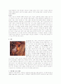 개미-탐구보고서 4페이지