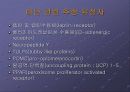 비만과 유전자 6페이지