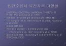 비만과 유전자 16페이지