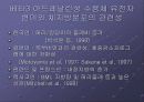 비만과 유전자 23페이지