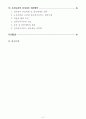 우리나라 전자정부의 발전방향 3페이지