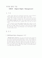 저작권 관리기술(DRM - Digital Rights Management) 4페이지