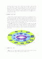저작권 관리기술(DRM - Digital Rights Management) 7페이지