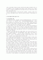전자상거래촉진계획과 그로 인한 문제점 및 해결방안 12페이지