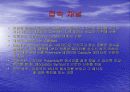통신 방식 CDMA 21페이지