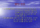 통신 방식 CDMA 42페이지