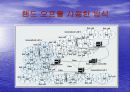 통신 방식 CDMA 43페이지