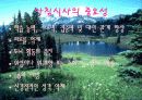 [발표자료] 아침식사의 문제점과 개선책 7페이지