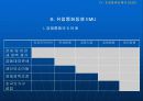 [발표자료]유럽 연합 -EU- 에 관한 분석 21페이지