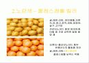 과일 색깔론 3페이지