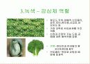 과일 색깔론 4페이지