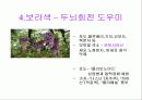 과일 색깔론 5페이지