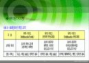 광대역 무선 인터넷 와이브로 Wi-Bro(Wireless Broadband) 18페이지