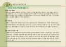 [경영전략 . 마케팅 ]CEO를 위한 신경영학 91페이지