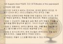 20세기 연극에 대하여 10페이지
