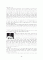일본 문화와 사회 14페이지