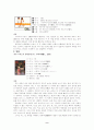 일본 문화와 사회(일본 드라마와 영화) 9페이지
