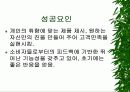 [웹사이트 비교분석] 인터파크 패션 vs 리바이스 11페이지