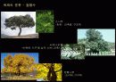 목재에 대하여 4페이지