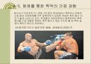 학교폭력의 원인과 대책 방안 발표용 파워포인트 [청소년 복지] 13페이지
