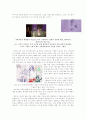 [미술치료] 미술치료 분석 정리 11페이지