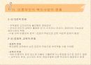 미혼모 복지사업의 문제점과 해결방안 29페이지