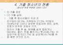 가출청소년 문제의 현황과 대책 10페이지