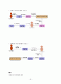 뇌사와 장기이식에 대한 현실과 문제점에 대한 고찰과 나아가야할 방향 제시 23페이지