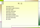 벤치마킹의 문제점과 전망 2페이지