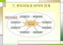 벤치마킹의 문제점과 전망 37페이지