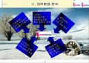 하나로 텔레콤 기업 분석 6페이지