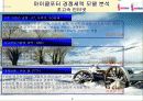 하나로 텔레콤 기업 분석 9페이지
