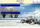 하나로 텔레콤 기업 분석 29페이지