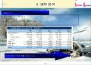 하나로 텔레콤 기업 분석 33페이지