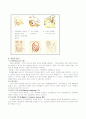 유방암 (breast ca) 질병보고서 3페이지