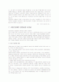 화상전화의 장점과 단점 현 상황 사업으로서 발전성과 시장성 20페이지