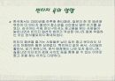 [현대유행패션] 빈티지 룩 & 그런지 룩 3페이지