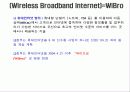 WiBro 정의 및 서비스 이해 4페이지