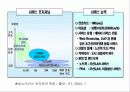 WiBro 정의 및 서비스 이해 7페이지