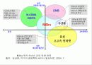 WiBro 정의 및 서비스 이해 13페이지