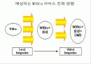 WiBro 정의 및 서비스 이해 14페이지