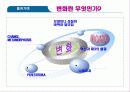 [자기계발]나를 변화시키는 좋은 습관 3페이지