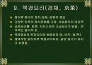 중국의 음식 문화 24페이지