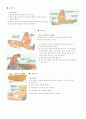 골절(Fracture)문헌 고찰 6페이지